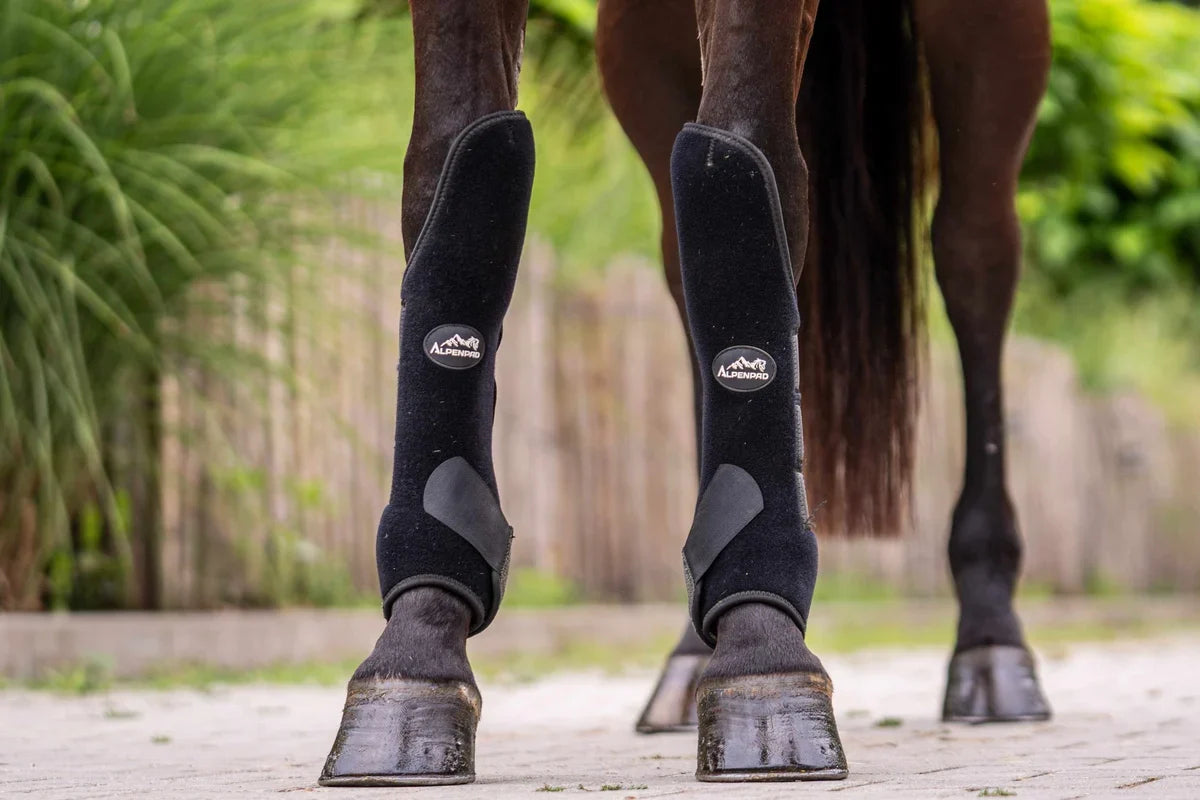 Leg Protection