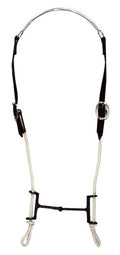 Gag bit (metout lasso)