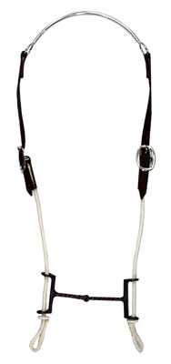 Gag bit (metout lasso)