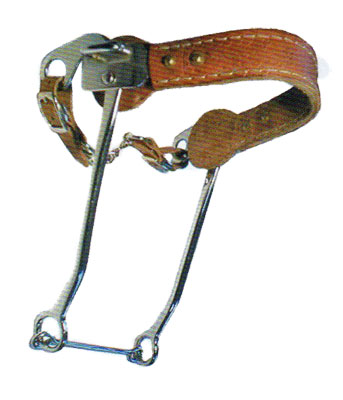 Hackamore bit