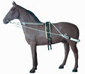 Elastic training system