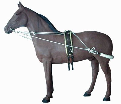 Elastic training system