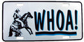 License plate