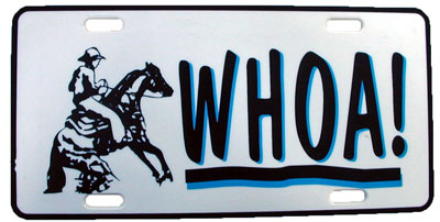 License plate