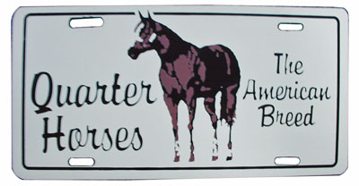 License plate