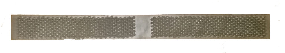Rasp