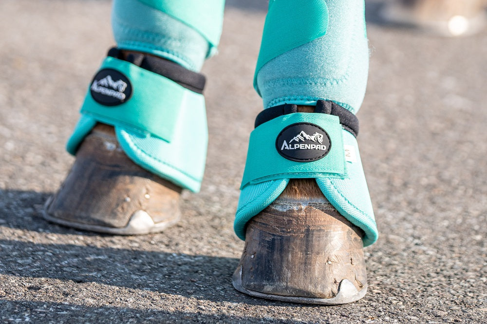 AlpenPad – EquiShield springschoenen – 20 kleuren & Styles