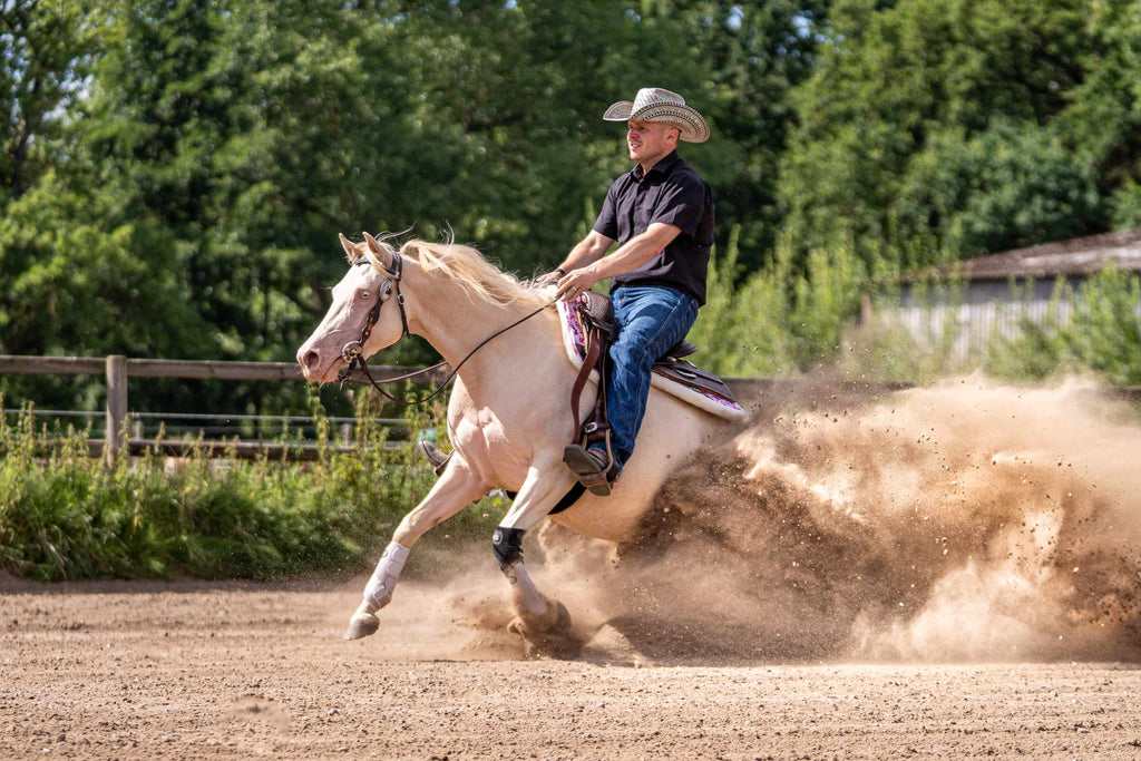AlpenPad – EquiShield beenbeschermers