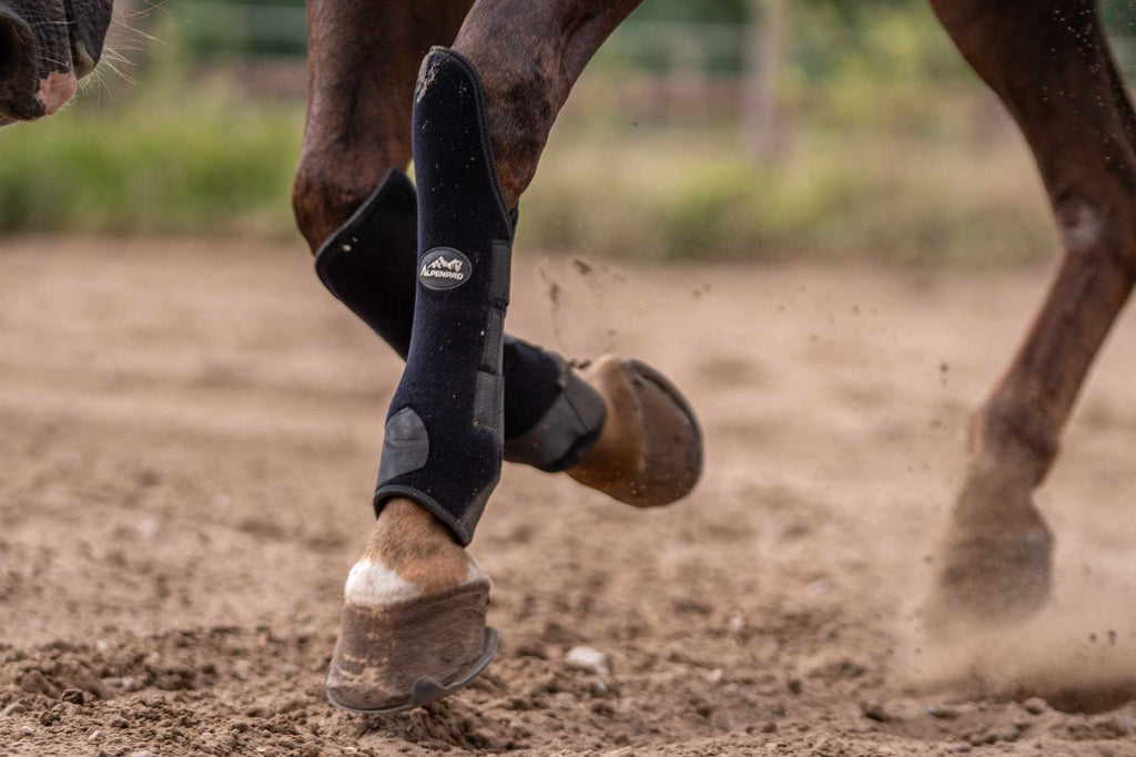 AlpenPad – EquiShield Knee Protect beenbeschermers