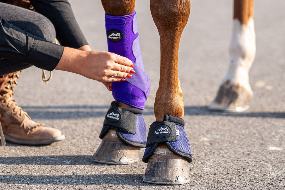 AlpenPad – EquiShield beenbeschermers