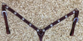 Borsttuig met holes for conchos