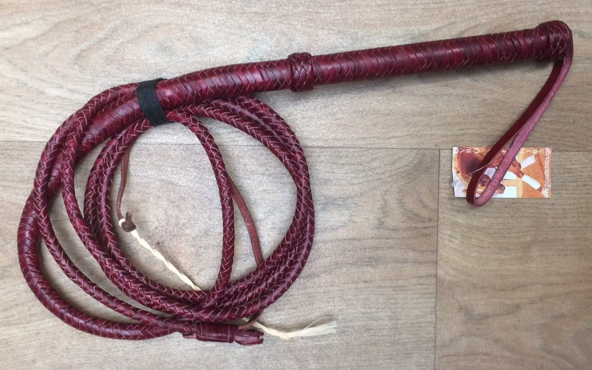 Bullwhip