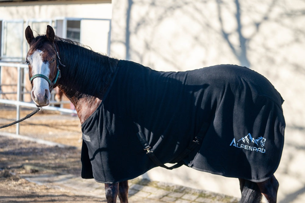 AlpenPad – Fleece Horsecooler / fleecedeken zwart