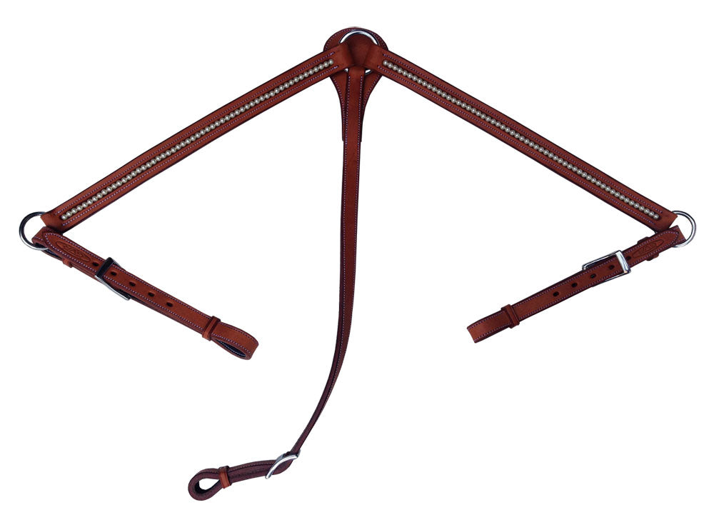 Leder borsttuig met