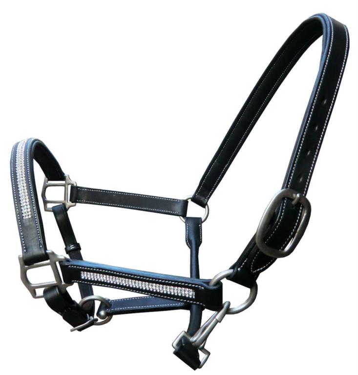 Leder showhalster