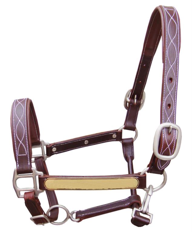 Personalized halster