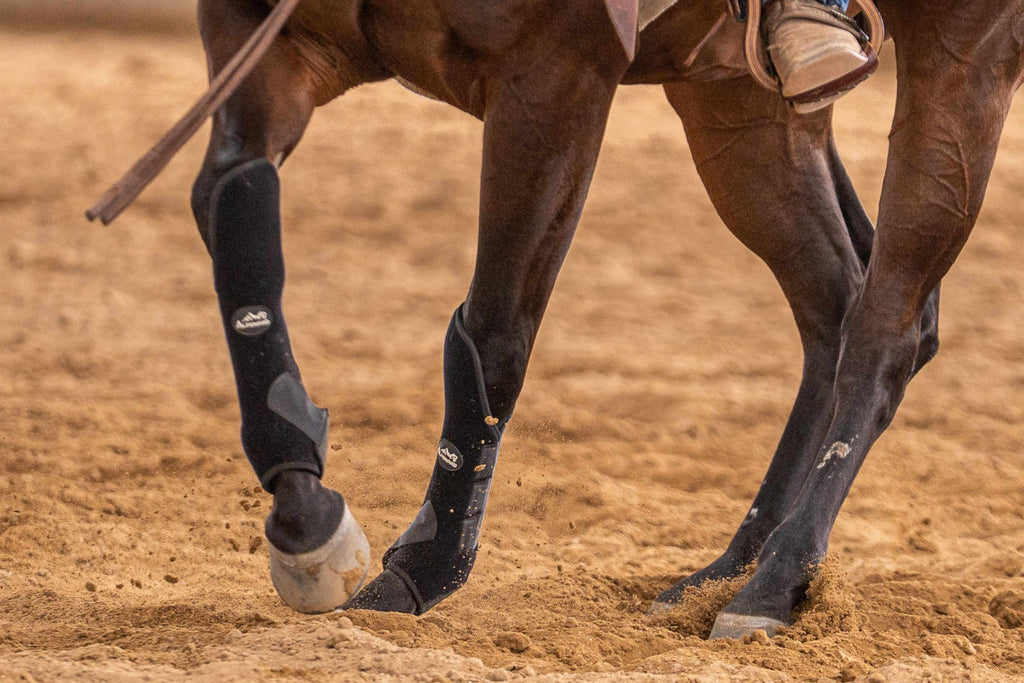 AlpenPad – EquiShield Knee Protect beenbeschermers