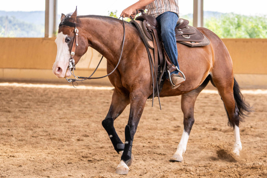 AlpenPad – EquiShield Knee Protect beenbeschermers