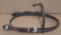 Futurity brow hoofdstel