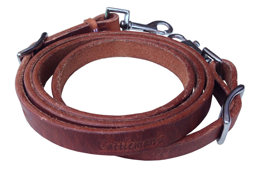 Premium Harness tiedown strap
