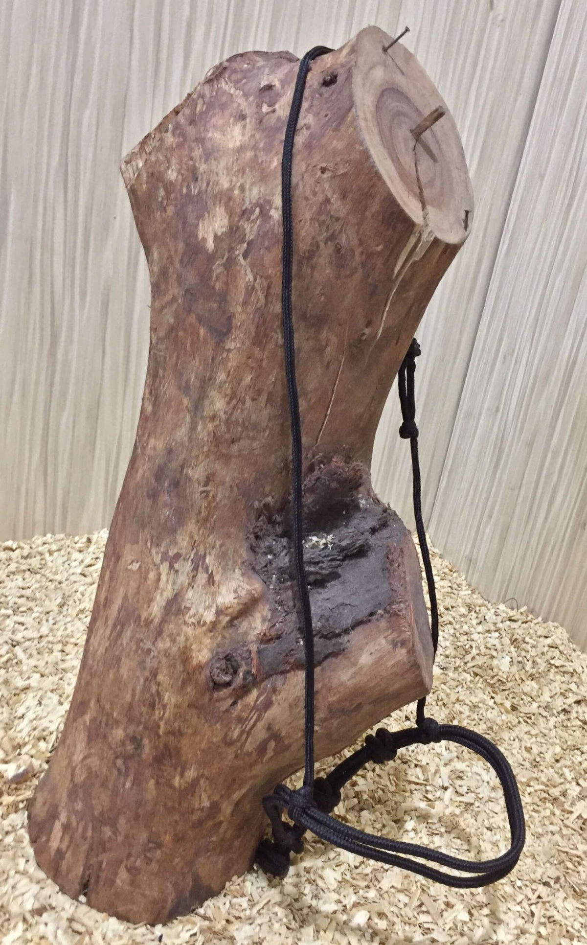 Lasso neusriem