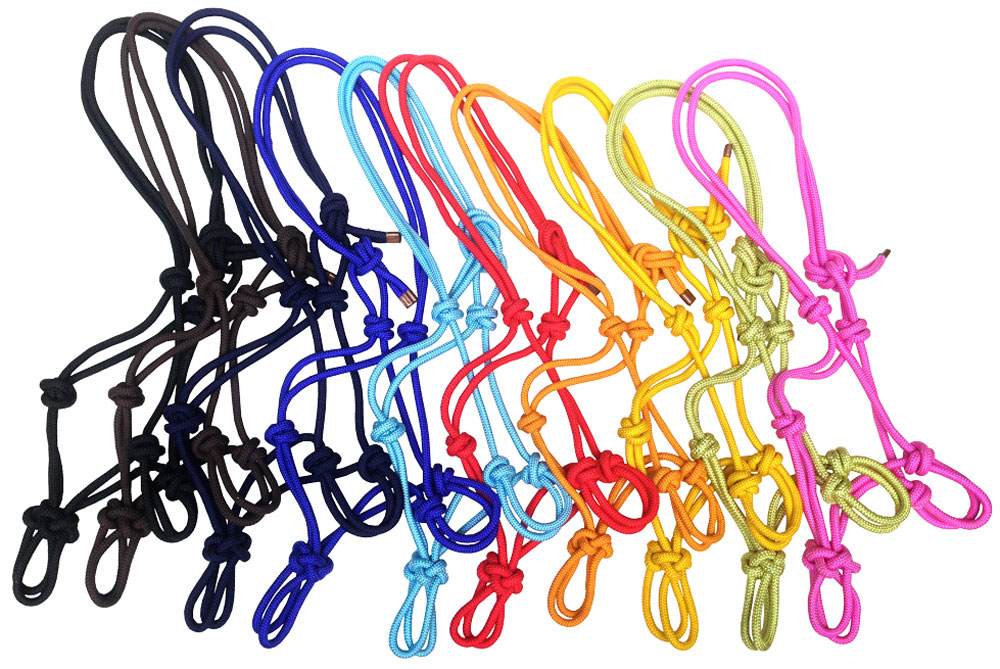 Lasso halster