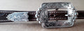 Buckle set