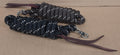 Soft braided lasso
