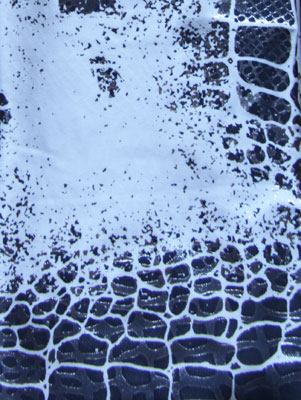 Tailwrap