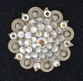 CRYSTAL conchos