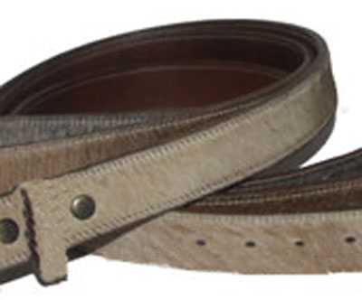 dog collar