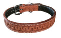 dog collar