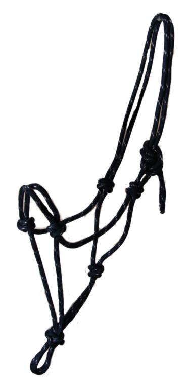 Lasso halster