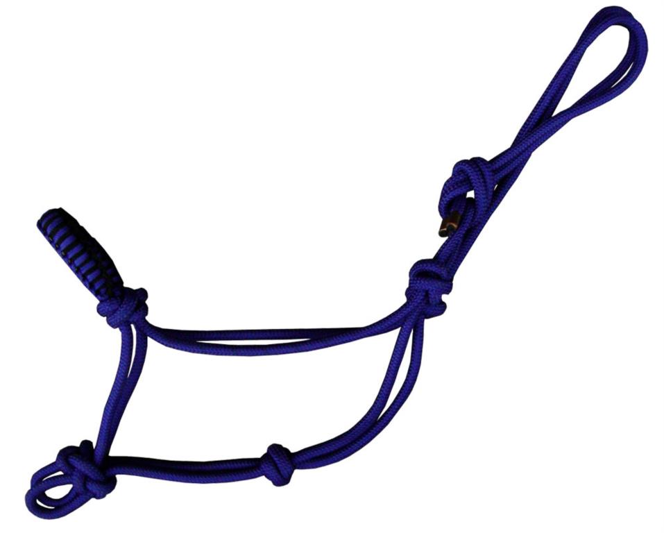 Lasso halster