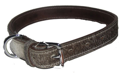 dog collar