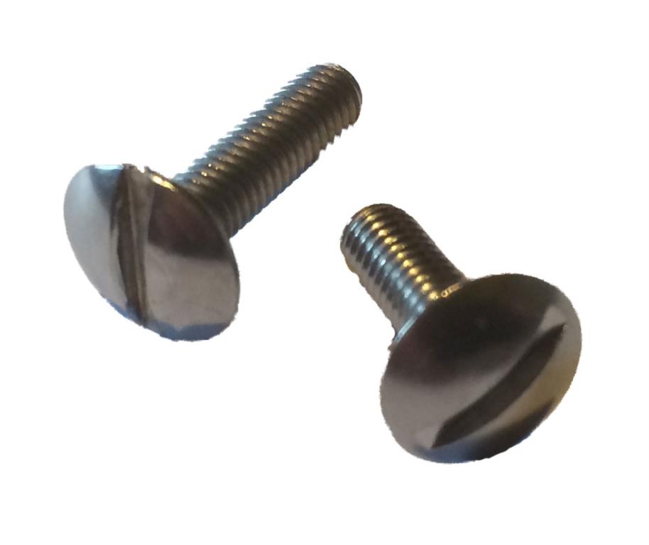 Screw SS 6 mm