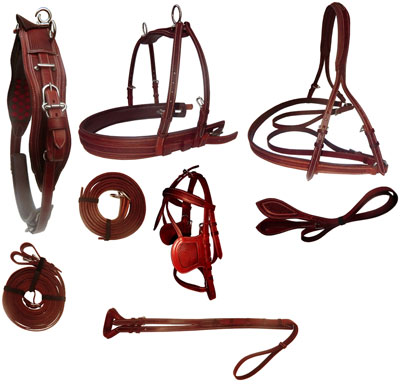 Western tack- of equipmentitem
