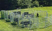 Zwaar staal cattle collector
