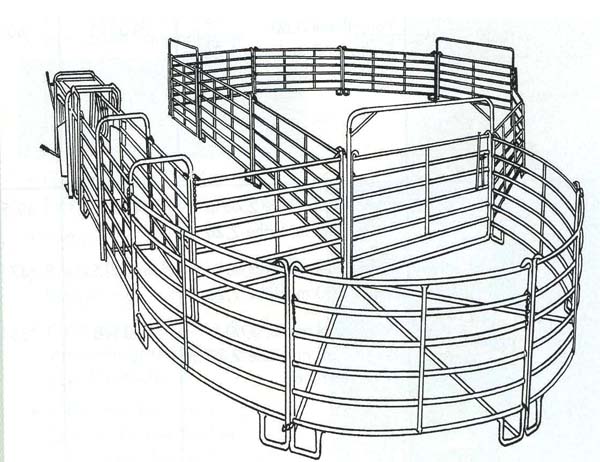 Zwaar staal cattle collector