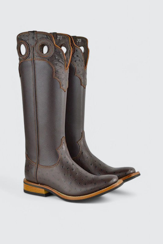 Pecos Struisvogel Bruin