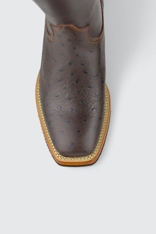 Pecos Struisvogel Bruin