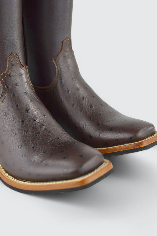 Pecos Struisvogel Bruin