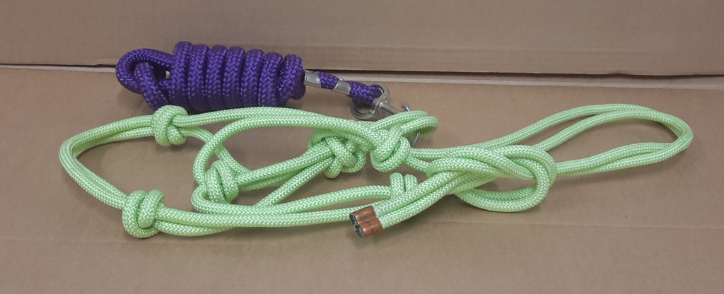Lasso halster met lasso