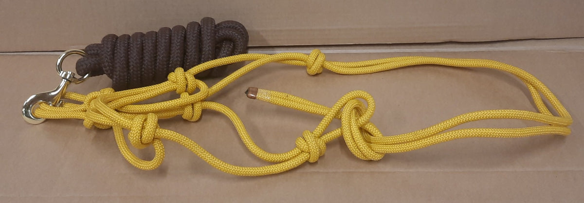 Lasso halster met lasso