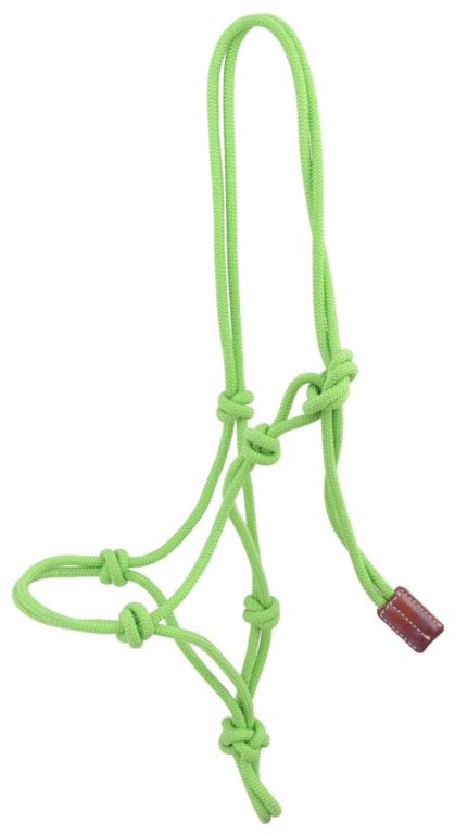 Lasso halster