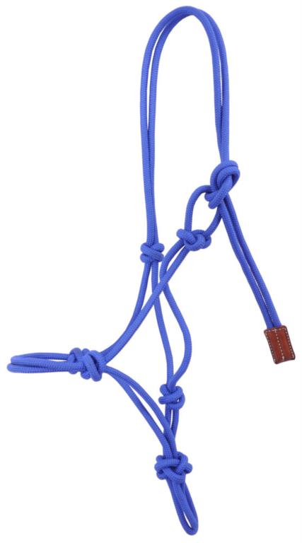 Lasso halster