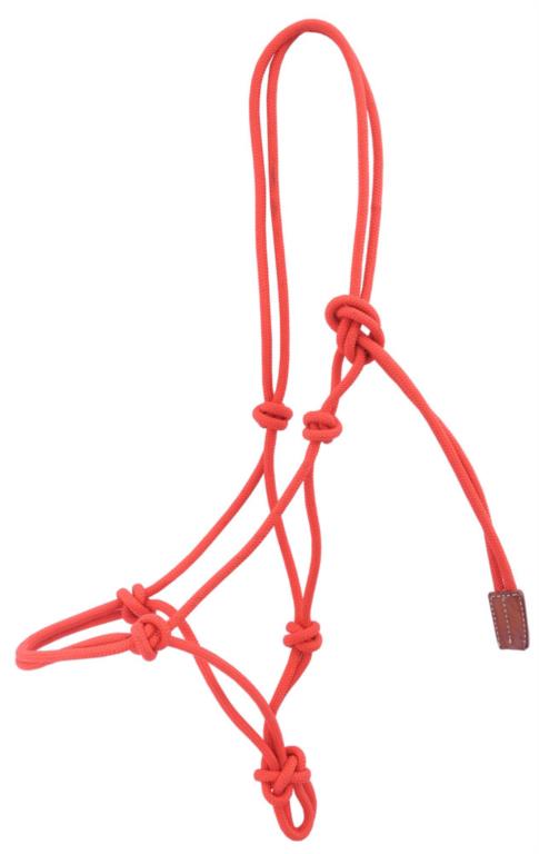 Lasso halster