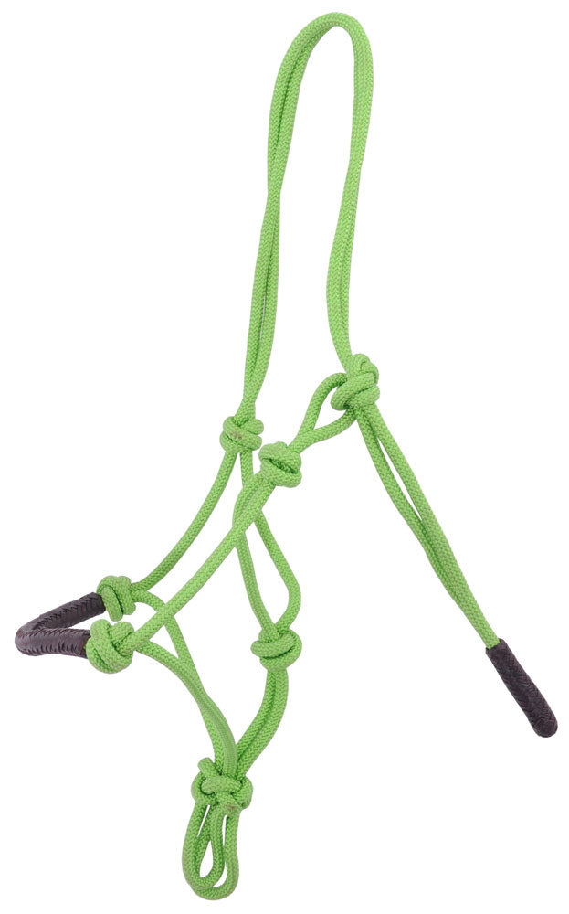 Lasso halster met knotted leder