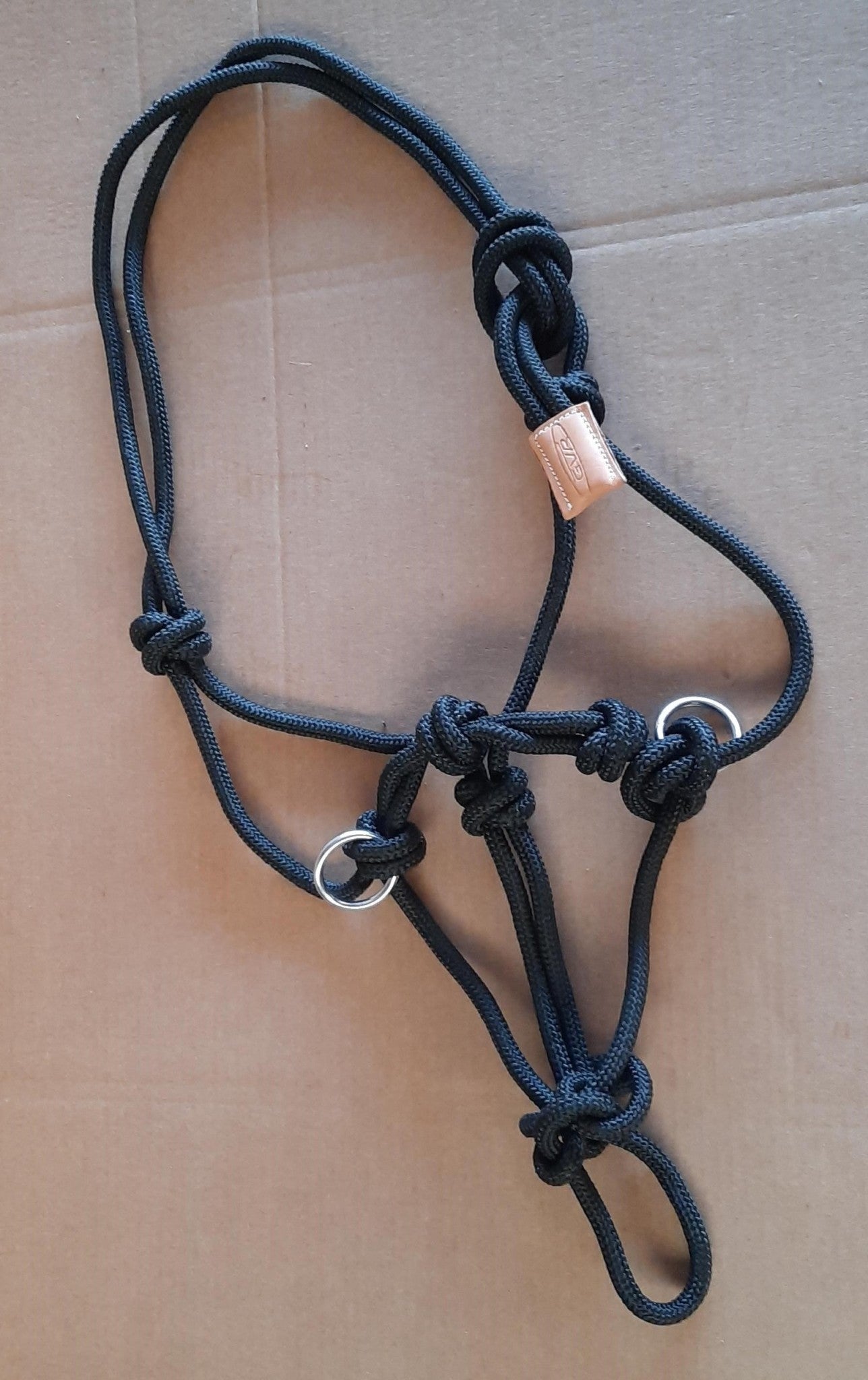 Lasso halster