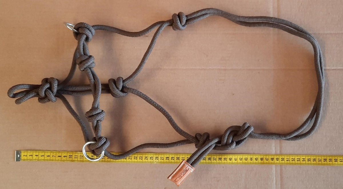 Lasso halster